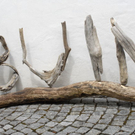 _DSC02150001.JPG