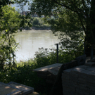 IMG_7983.jpg