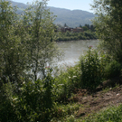IMG_8027.jpg