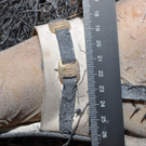 Verbrannte Leiche in Nickelsdorf /Neusiedl am See