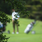Golfclub Brand