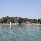 Schifffahrt ab Lochau 2010 _9__jpg-1279724055
