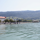 Schifffahrt ab Lochau 2010 _5__jpg-1279723999