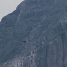 normal_21072010watzmanfrauffaktivnews_03.jpg