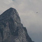 normal_21072010watzmanfrauffaktivnews_09.jpg