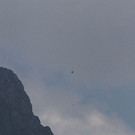 normal_21072010watzmanfrauffaktivnews_22.jpg