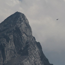 normal_21072010watzmanfrauffaktivnews_09.jpg