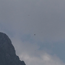 normal_21072010watzmanfrauffaktivnews_22.jpg
