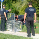 22072010375.jpg