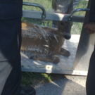 22072010378.jpg