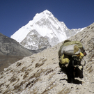 Himalaya Vortrag