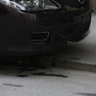 normal_23072010pollerkaitaaktivnews_007.jpg