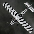 flugzeug5.JPG