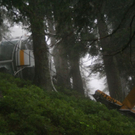 normal_230710hubschraubergmaktivnews_20_39_.jpg