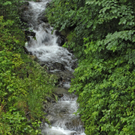 _DSC0153_JPG-1280006664