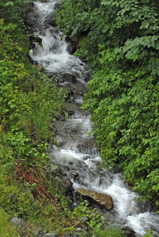 _DSC0153_JPG-1280006664