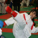 karate titel_JPG-1280063520