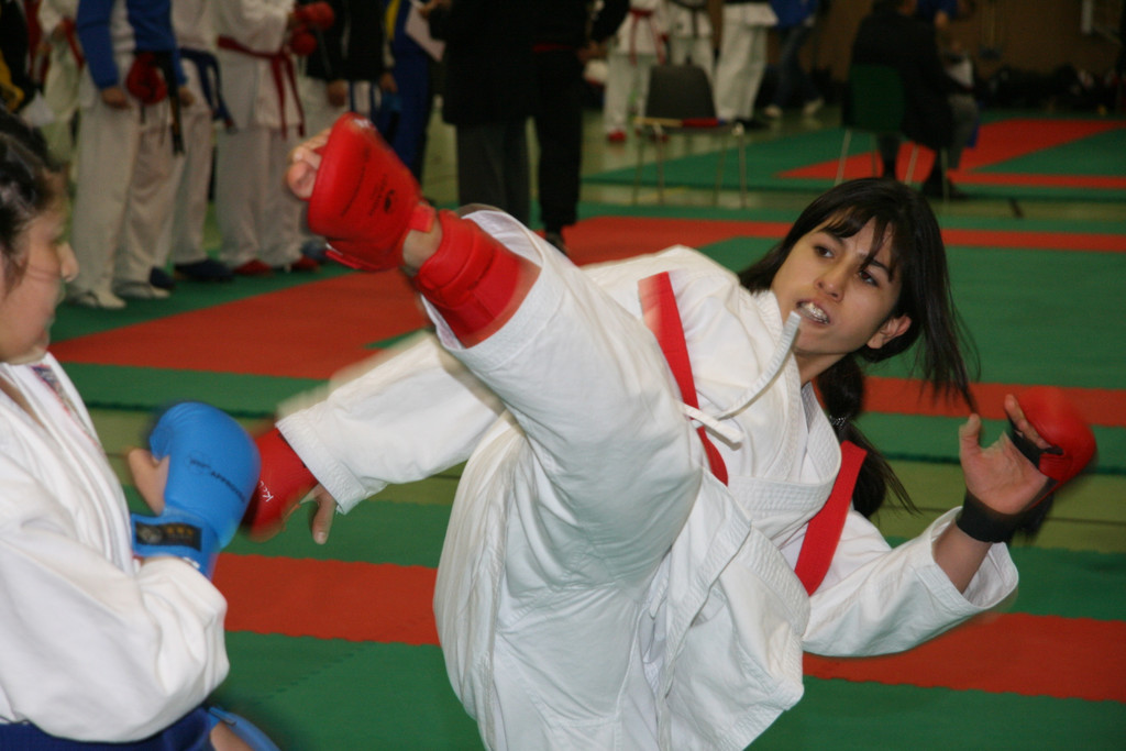 karate titel_JPG-1280063520