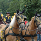 DSC_1536.jpg