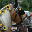DSC_1538.jpg