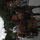 DSC_1550.jpg