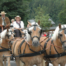 DSC_1553.jpg