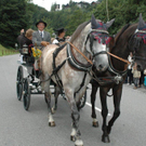 DSC_1555.jpg