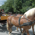 DSC_1587.jpg