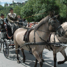 DSC_1594.jpg