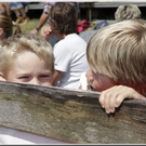 bild  1009.jpg