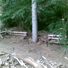 Mure Fluh 1.jpg