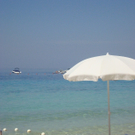 TL2010 1.JPG