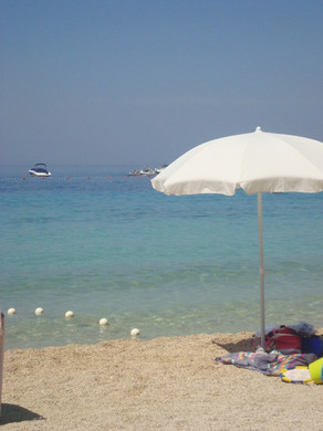 TL2010 1.JPG