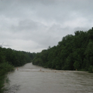 IMG_2559.jpeg
