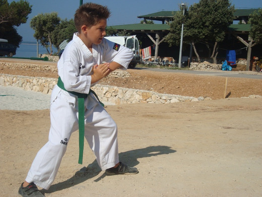 TL2010 15.JPG