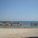 TL2010 17.JPG
