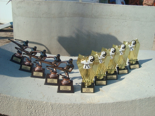 TL2010 18.JPG
