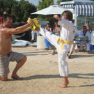 TL2010 19.JPG
