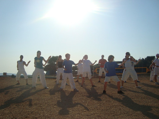TL2010 2.JPG