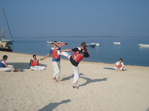 TL2010 9.JPG