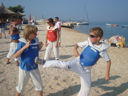 TL2010 8.JPG