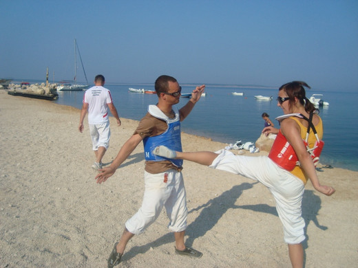 TL2010 7.JPG