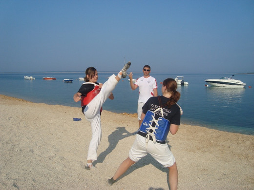 TL2010 4.JPG
