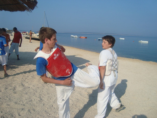 TL2010 5.JPG