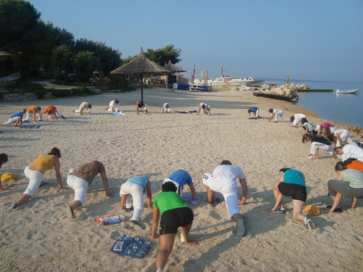TL2010 3.JPG