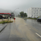 DSC02329.jpg