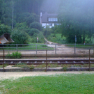 photo 1.JPG