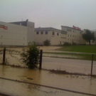 photo 3.JPG