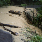DSCN2666.JPG