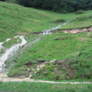 Überflutungen im Leiblachtal, 27. Juli 2010